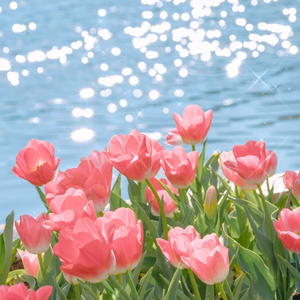 潮喷 合集 喷水 mp4 Fisting
