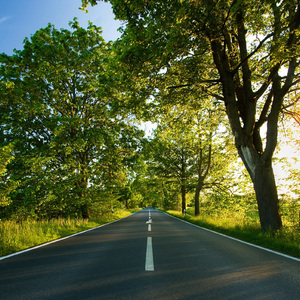 潮喷 合集 喷水 mp4 Fisting
